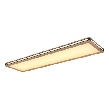 Globo - LED stropna svjetiljka s mogućnošću prigušivanja LED/36W/230V 3000K 30x120 cm