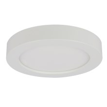 Globo - LED Stropna svjetiljka za kupaonicu 1xLED/12W/230V
