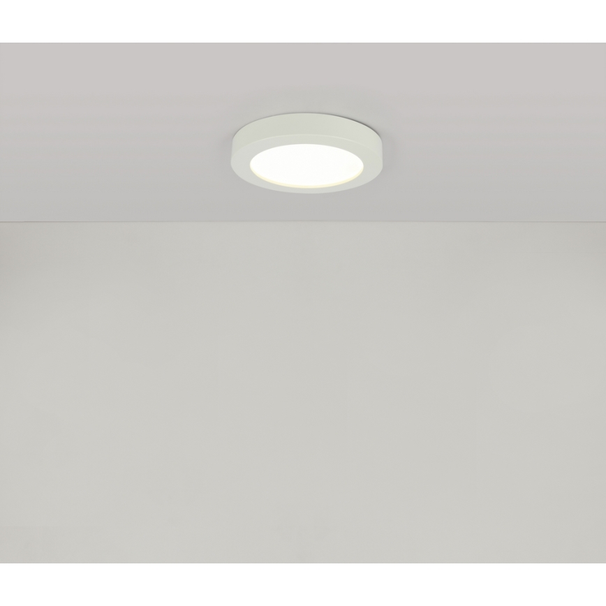 Globo - LED Stropna svjetiljka za kupaonicu 1xLED/18W/230V IP44