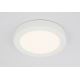 Globo - LED Stropna svjetiljka za kupaonicu 1xLED/22W/230V IP44