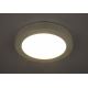 Globo - LED Stropna svjetiljka za kupaonicu 1xLED/22W/230V IP44