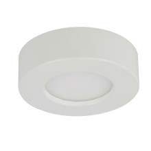 Globo - LED Stropna svjetiljka za kupaonicu 1xLED/6W/230V