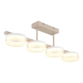 Globo - LED stropna svjetiljka za površinsku montažu LED/24W/230V 3000K