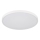 Globo - LED stropno svjetlo LED/15W/230V 4000K Ø 23 cm bijela