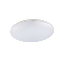 Globo - LED Vanjska stropna svjetiljka 1xLED/24W/230V IP54