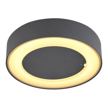 Globo - LED Vanjska stropna svjetiljka LED/12W/230V IP54