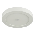Globo - LED vanjska stropna svjetiljka s senzorom LED/18W/230V IP44