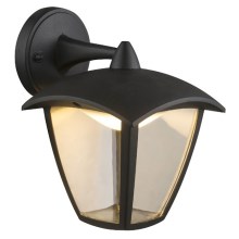 Globo - LED Vanjska zidna svjetiljka 1xLED/7W/230V IP54