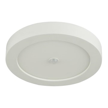 Globo - LED vanjsko stropno svjetlo sa senzorom 1xLED/18W/230V IP44