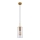 Globo - Luster na sajli 1xE27/60W/230V