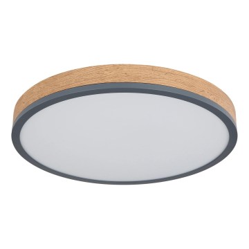 Globo - prigušiva stropna LED svjetiljka LED/24W/230V 2700-6500K Ø 45 cm