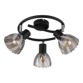 Globo - Reflektorska svjetiljka 3xE14/40W/230V crna