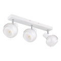 Globo - Spot svjetiljka 3x E14/40W/230V bijela