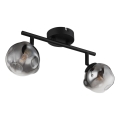 Globo - Stropna svjetiljka 2xG9/5W/230V