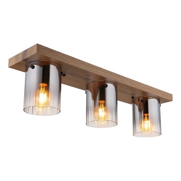 Globo - Stropna svjetiljka 3xE27/40W/230V