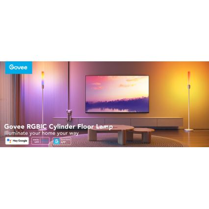 Govee - LED Prigušiva podna lampa CYLINDER SMART RGBICWW 2200-6500K