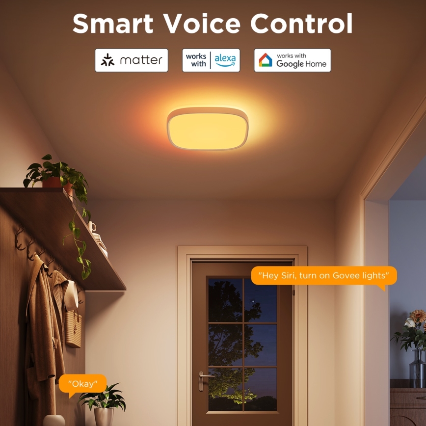 Govee - LED RGBIC Prigušiva stropna svjetiljka LED/24W/230V 2700-6500K Wi-Fi