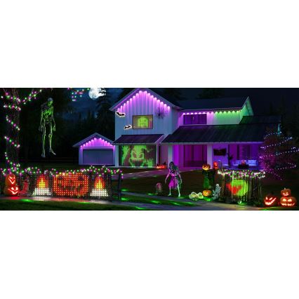 Govee - LED RGBIC Vanjska svjetlosna mreža 143x85cm Wi-Fi Matter IP65