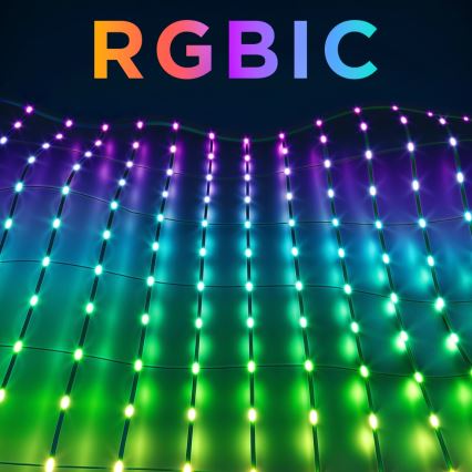 Govee - LED RGBIC Vanjska svjetlosna mreža 143x85cm Wi-Fi Matter IP65