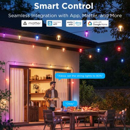 Govee - LED RGBICW Prigušivi vanjski dekorativni lanac LED/24W/230V IP67 2700-6500K Wi-Fi