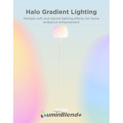 Govee - LED RGBICWW podna svjetiljka s mogućnošću prigušivanja LANTERN MATTER LED/24W/230V Wi-Fi 160 cm