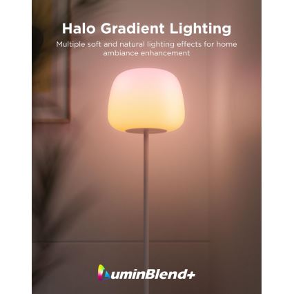 Govee - LED RGBICWW podna svjetiljka s mogućnošću prigušivanja LANTERN MATTER LED/24W/230V Wi-Fi 160 cm