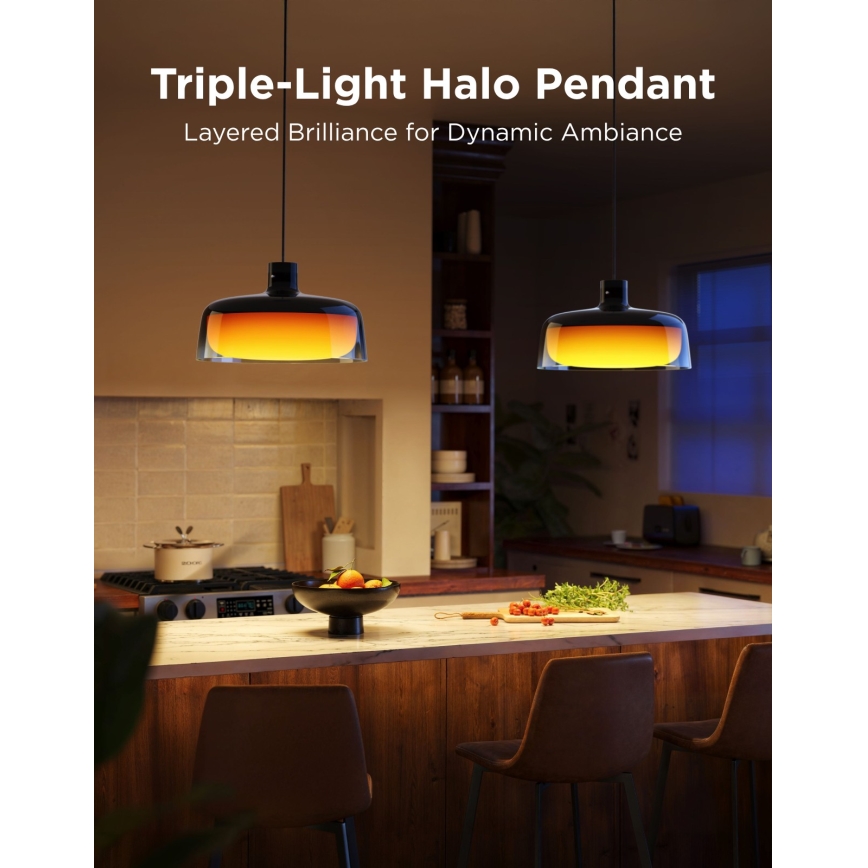 Govee - LED RGBICWW Prigušivi luster na kabelu LED/21W/230V Matter Wi-Fi