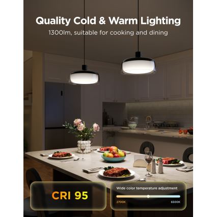 Govee - LED RGBICWW Prigušivi luster na kabelu LED/21W/230V Matter Wi-Fi