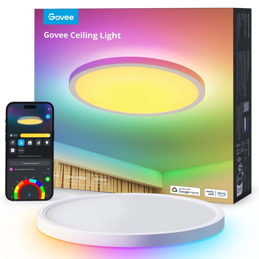 Govee - LED RGBICWW prigušivo stropno LED svjetlo 29W/230V, promjer 30 cm, mat, Wi-Fi