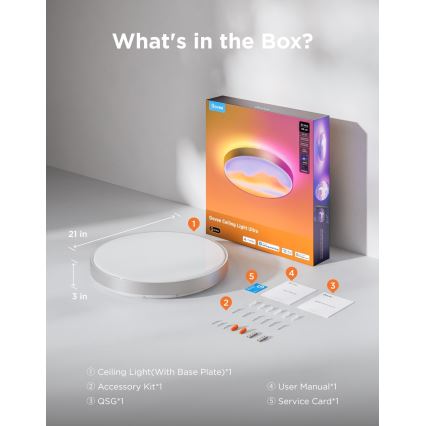 Govee - LED RGBICWW Stropna svjetiljka s prigušivanjem LED/55W/230V Ø 53 cm Matter Wi-Fi