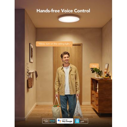 Govee - LED RGBICWW stropna svjetiljka s prigušivanjem LED/29 W/230 V, promjer 30 cm, Matter, Wi-Fi