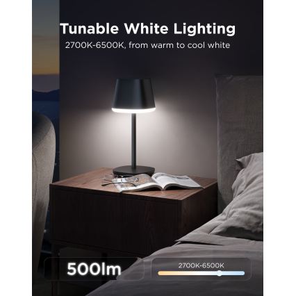 Govee - LED RGBICWW Stolna svjetiljka s mogućnošću prigušivanja CLASSIC MATTER LED/10W/5V 4800mAh Wi-Fi