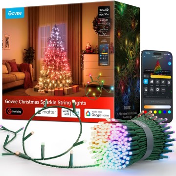 Govee - LED RGBWIC Vanjski božićni niz 2700-6500K 30 m Wi-Fi Matter IP65