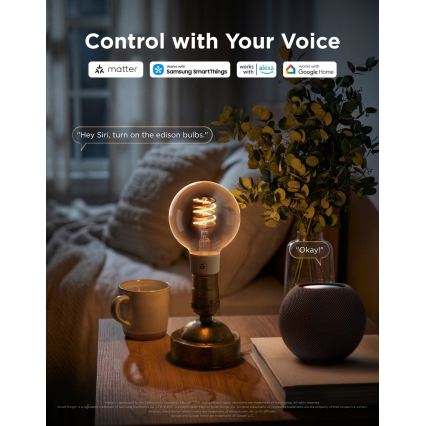 Govee - LED RGBWW prigušivačka žarulja Smart MATTER G80 E27/5W/230V 2700-6500K Wi-Fi