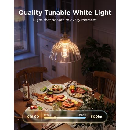 Govee - LED RGBWW Prigušiva žarulja Smart MATTER ST64 E27/5W/230V 2700-6500K Wi-Fi