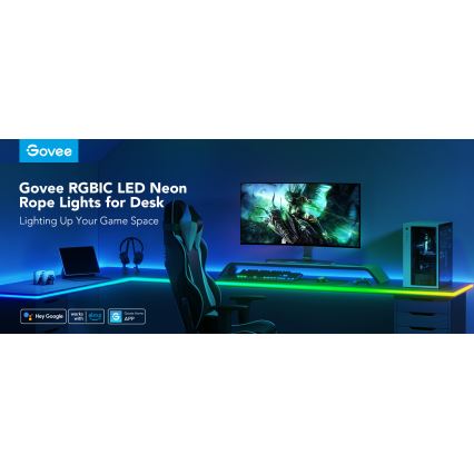Govee - Neon LED pozadinsko osvjetljenje za stol 3m RGBIC Wi-Fi