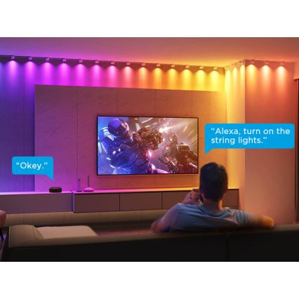 Govee - RGBIC LED niz svjetala 3m Wi-Fi