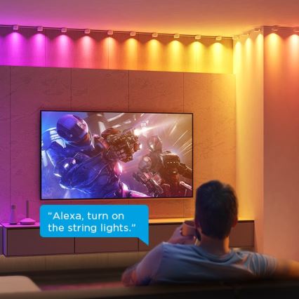 Govee - RGBIC LED niz svjetala 5m Wi-Fi