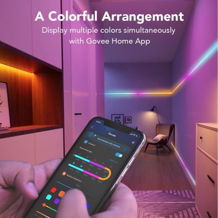 Govee - Wi-Fi RGBIC Smart PRO LED traka 10m - izuzetno otporan