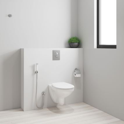 GROHE 26356IL0 - Ručni bide tuš TEMPESTA-F 30 1250 mm bijela