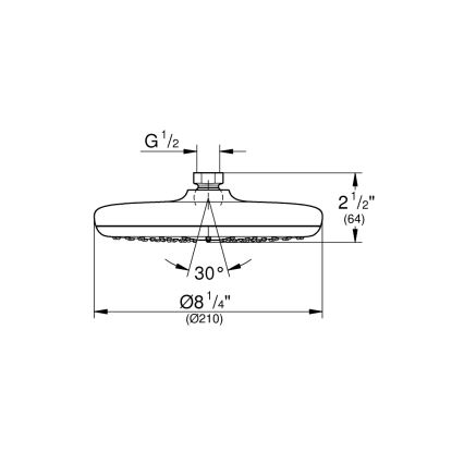 GROHE 26410000 - Tuš glava TEMPESTA 210 mm sjajni krom