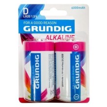 Grundig - 2 kom Alkalna baterija D/LR20 1,5V