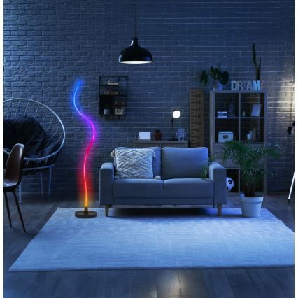 Grundig - LED RGB podna lampa s mogućnošću prigušivanja LED/5W/5V + daljinski upravljač