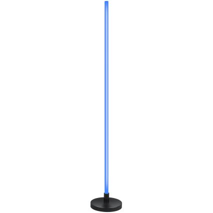 Grundig - LED RGB podna lampa s mogućnošću prigušivanja LED/5W/5V + daljinski upravljač