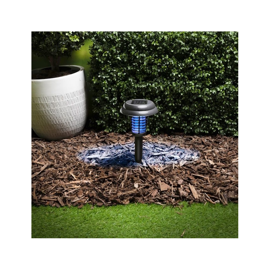Grundig - LED solarna svjetiljka i lapač insekata UV LED/1xAA 600 mAh IPX4