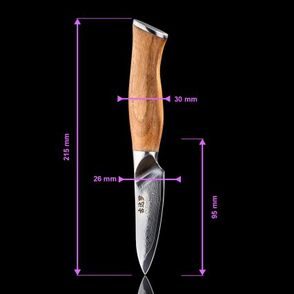 Gudaro - Damaskuski kuhinjski nož TAKUMI 3,5, 67 slojeva čelika, duljina 9,5 cm, orah