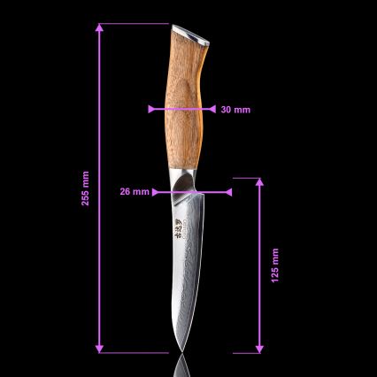 Gudaro - Damaskni svestrani kuhinjski nož TAKUMI 5, 67 slojeva čelika, duljina 12,5 cm, orah