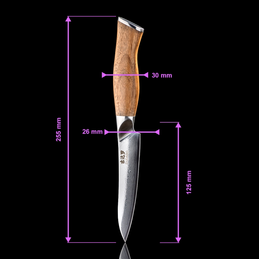 Gudaro - Damaskni svestrani kuhinjski nož TAKUMI 5, 67 slojeva čelika, duljina 12,5 cm, orah