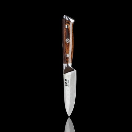 Gudaro - KOMPLET 1x damaskni nož šefa kuhinje FENG 8, 67 slojeva čelika, dužina 20 cm + 1x damaskni Santoku kuhinjski nož FENG 7,5, 67 slojeva čelika, dužina 18 cm + 1x BESPLATNO damaskni kuhinjski nož FENG 3,5, 67 slojeva čelika, dužina 9,5 cm