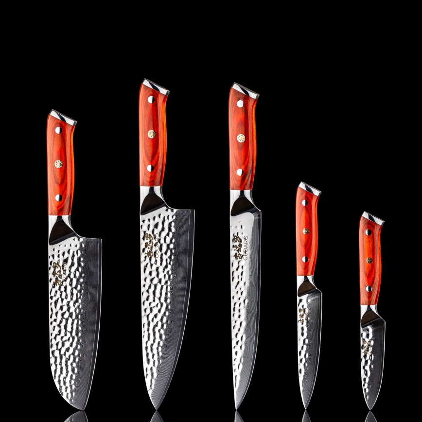 Gudaro - SET 5x damaskskih kuhinjskih noževa MIYABI + magnetni držač